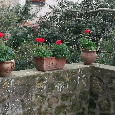 Palazzo Laurice Lejlighed *